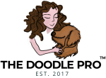 long color doodle pro logo